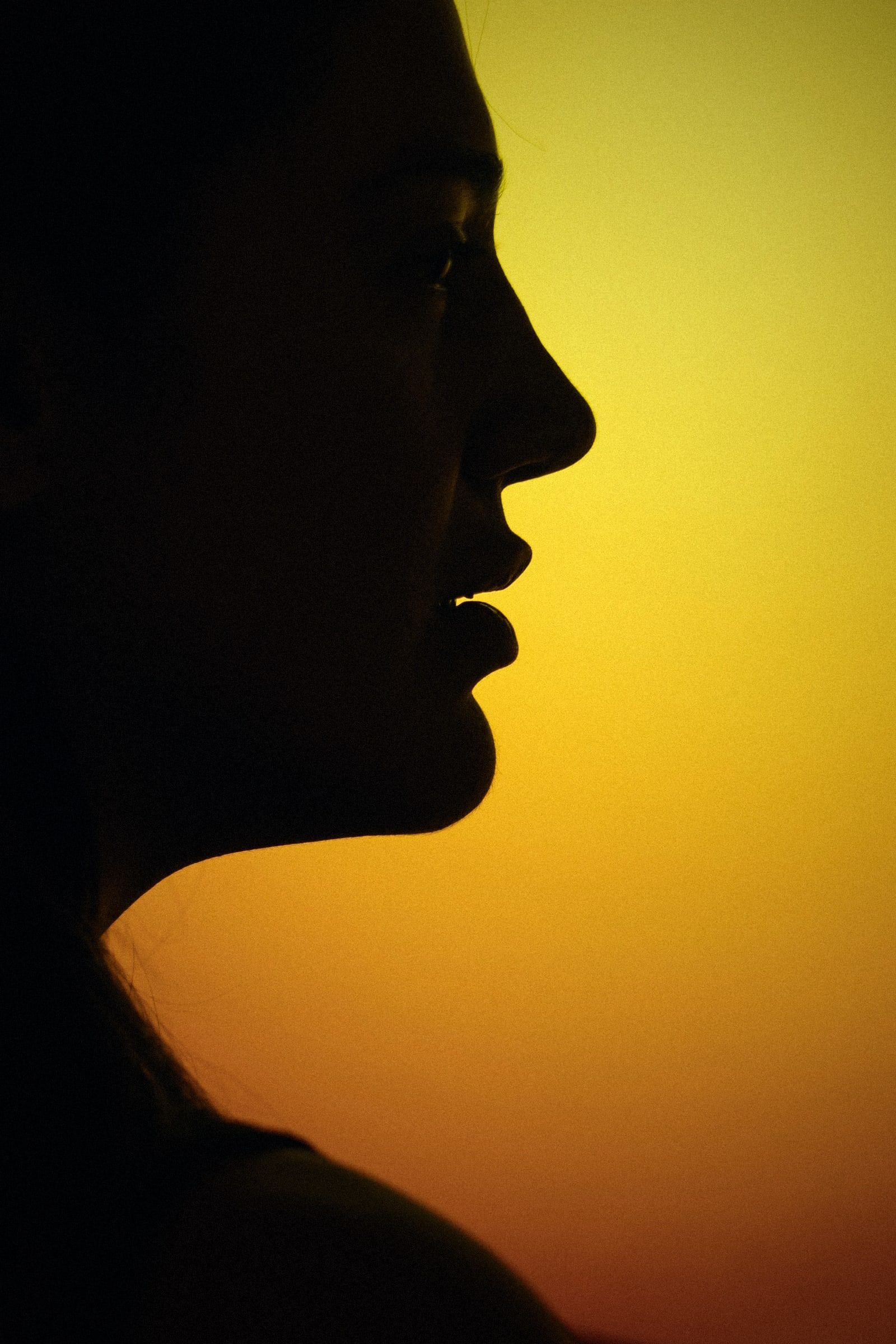 A profile against warm yellow light