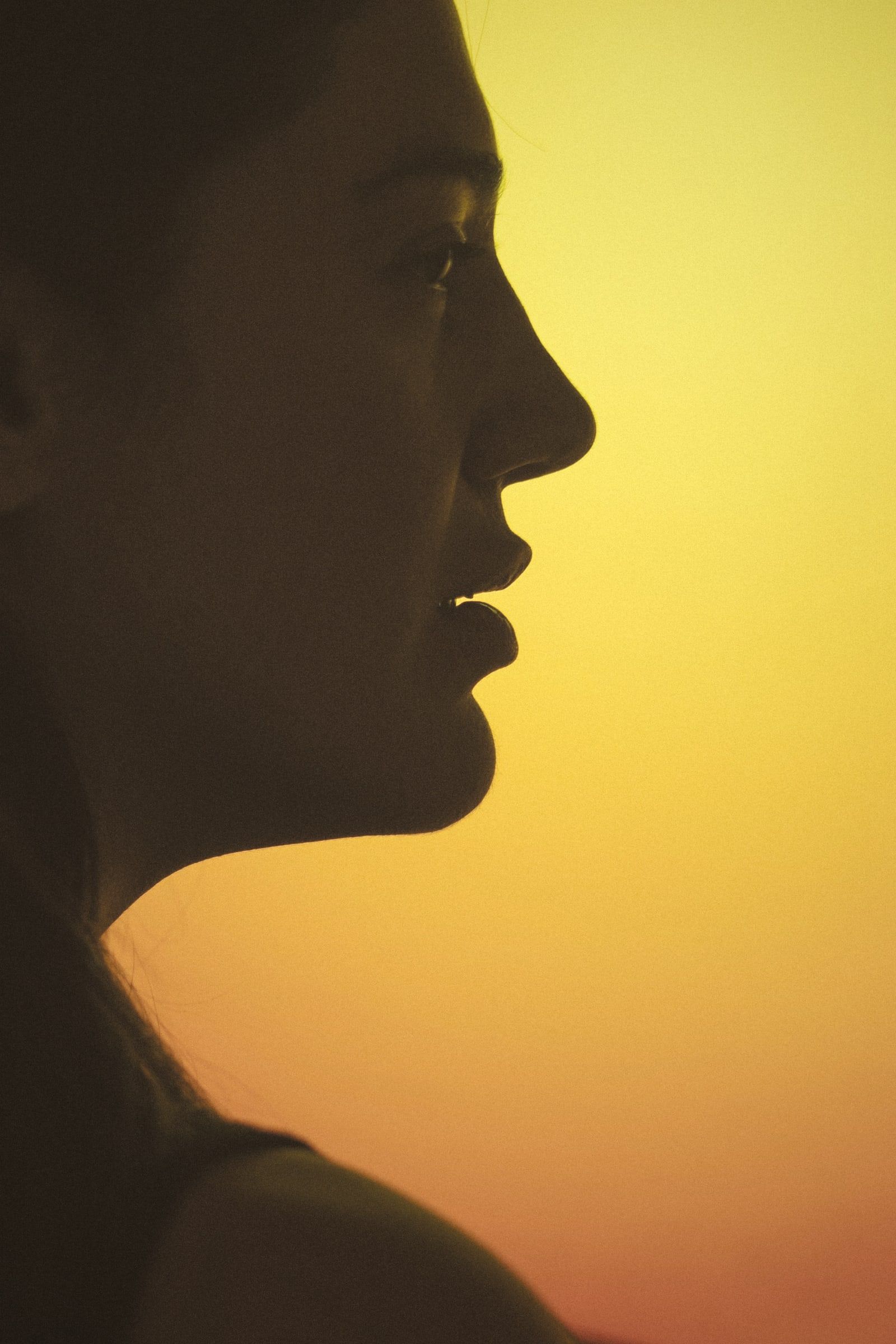 A profile against warm yellow light